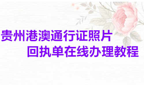 贵州港澳通行证照片回执单在线办理教程